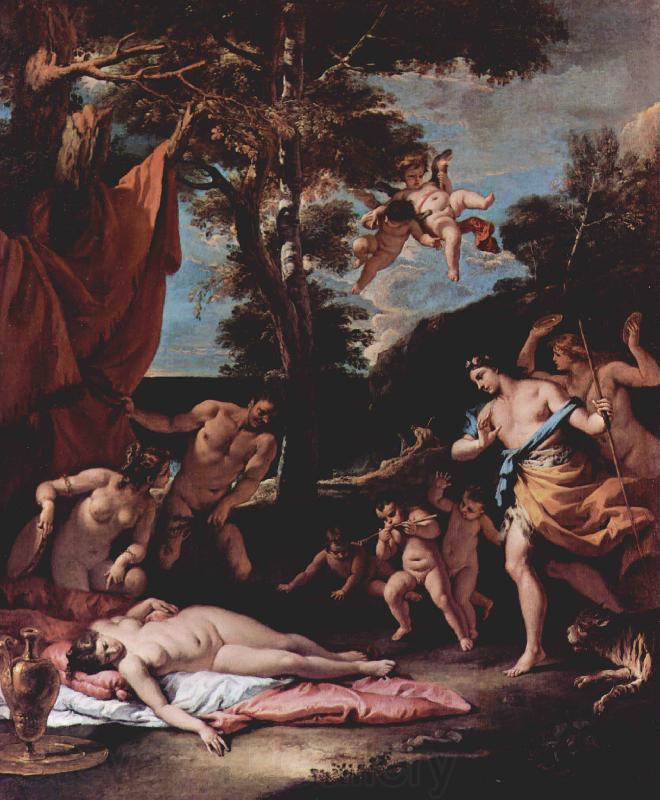 Sebastiano Ricci Bacchus und Ariadne Germany oil painting art